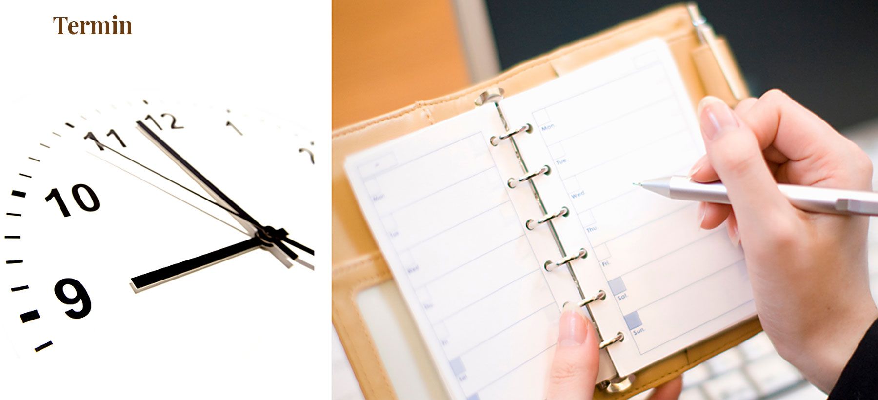 canva-beauty55_1800x820_termin